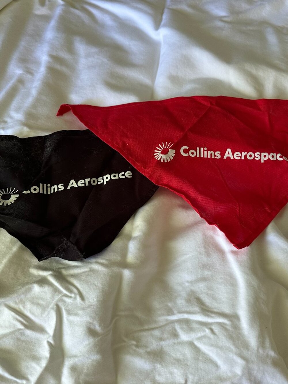 Collins Aerospace RTX Dog Bandanas Set of 2